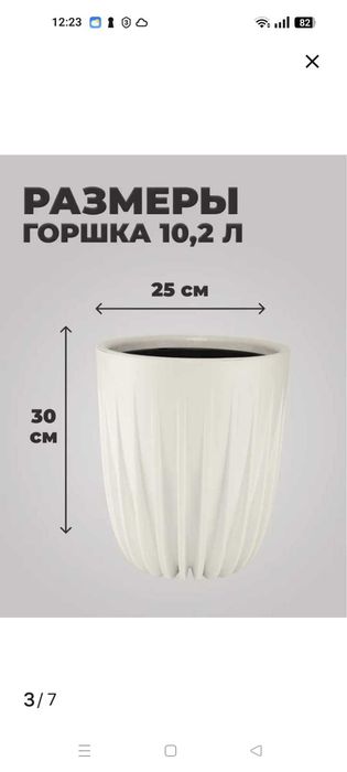 Комнатные цветы оформление пространства