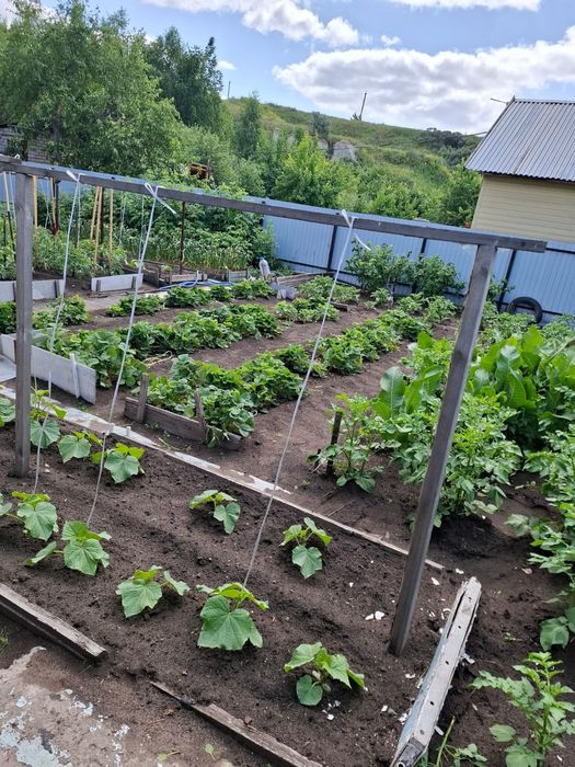 Продам дачу 4 сотки , ухоженная