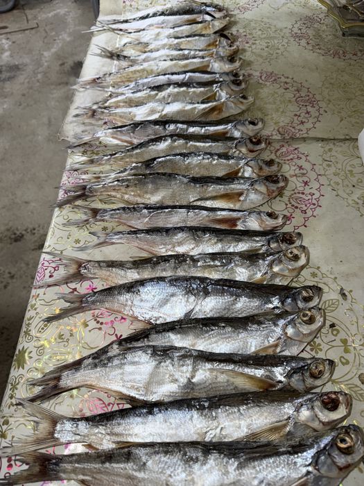 Вяленая рыба Чехня