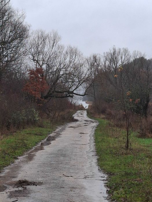 Продава се Парцел в Радомир - 2853 кв.м за 8 €/кв.м - Снимка #1