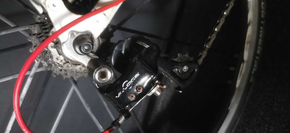 Cursiera carbon (Ritchey Wilier Triestina Campagnolo)