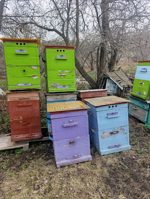 Улья для пчел  продам