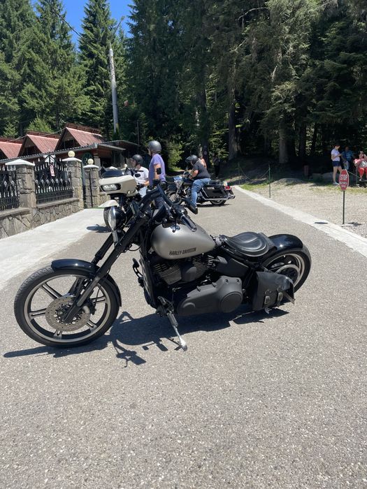 harley davidson  custom 2007