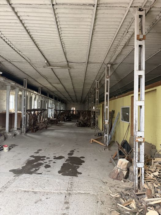 Hala inchiriat/ vanzare