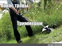 Покос Травы Треммиром На Вашем Участке.