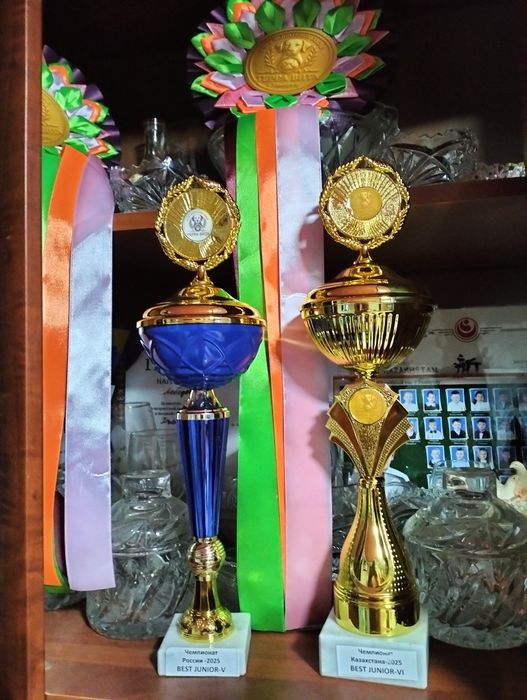 Вязка. Кобеля Чихуахуа