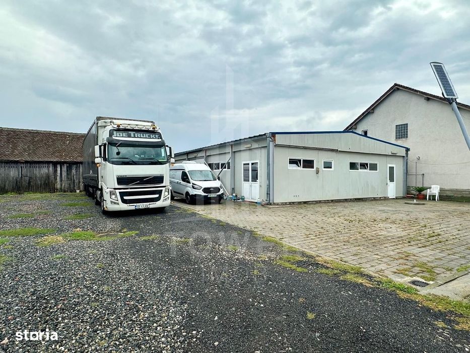 Hala de închiriat | Cristian