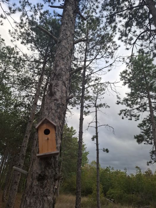 Каравани под наем "По полека..." градина Кайт