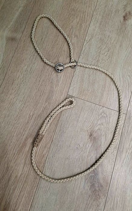 Lesa, ham si centura de masina pentru câine