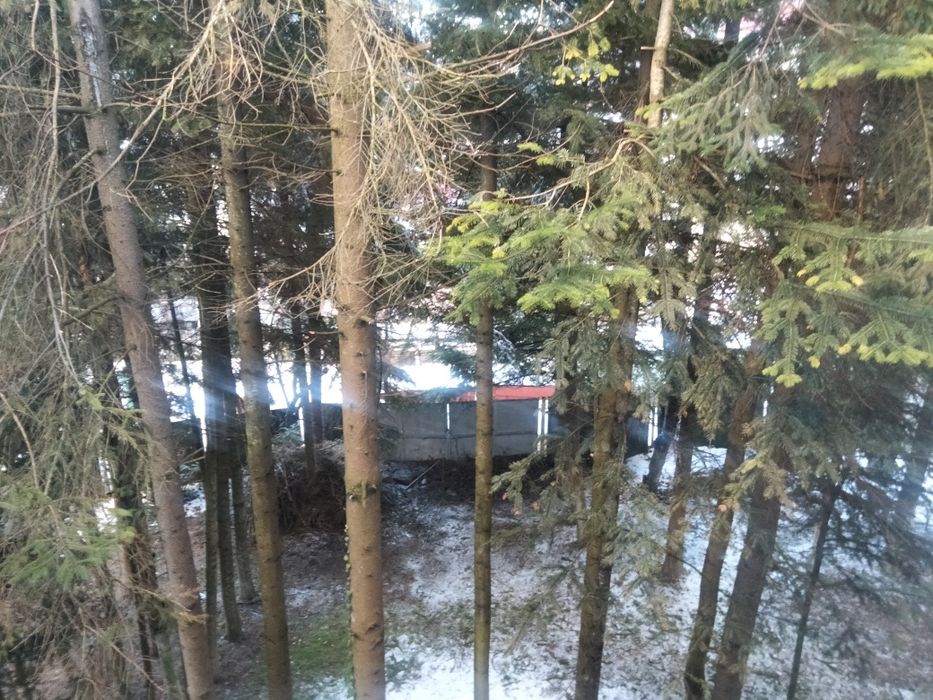 Sinaia închiriez garsonieră/ central