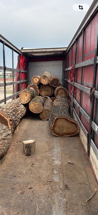 Продам Лес КАРАГАЧ