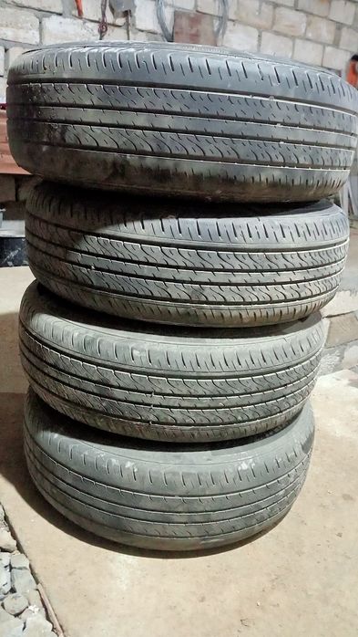 Пакриша летный титанка