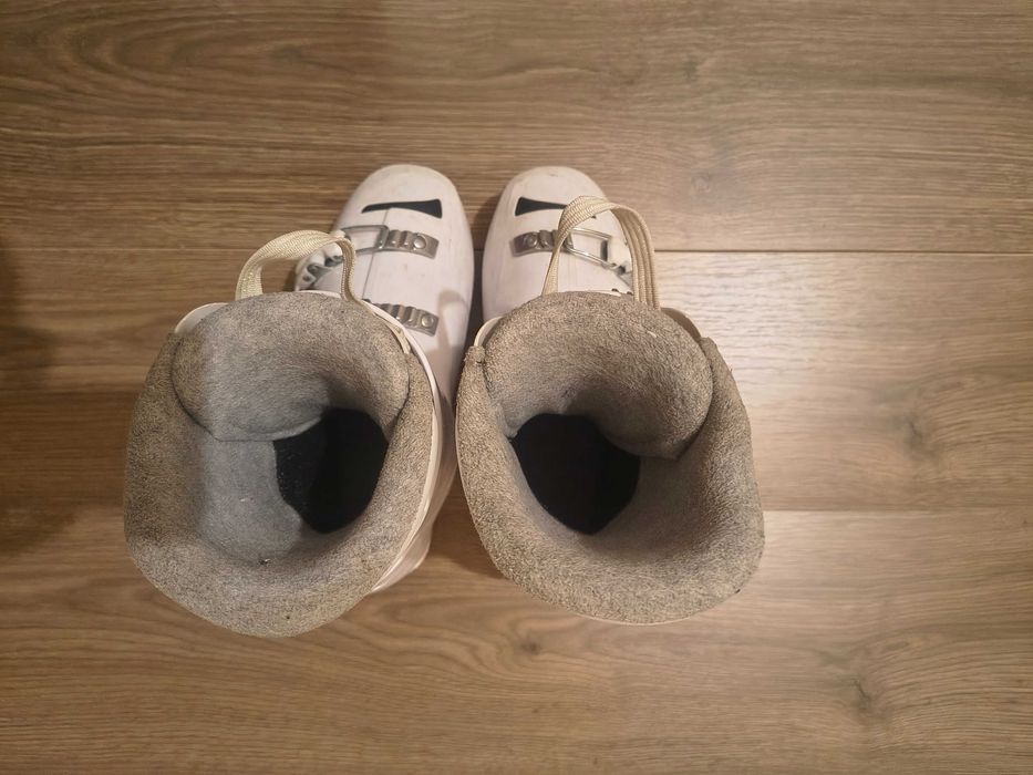 Vând clăpari Rosignoll