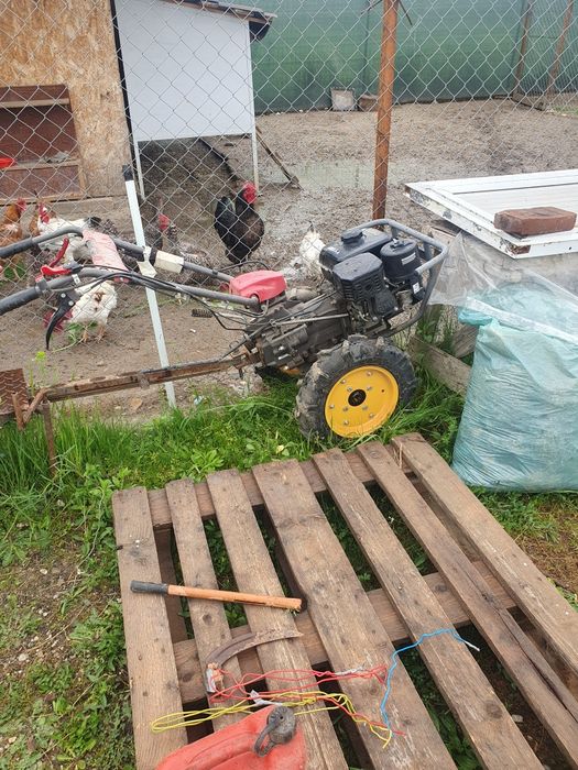 Vând motocultor weima 8 cp.