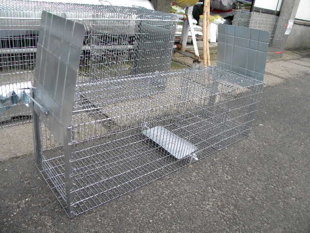 Capcana ecologica 2 intrari vulpi, dihori, jderi etc.