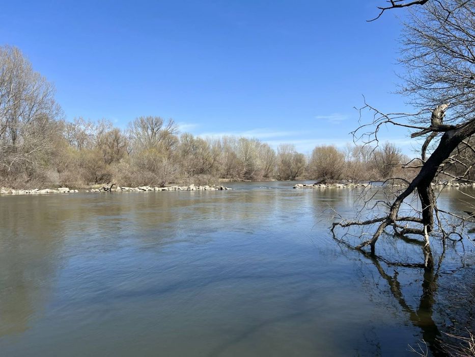 Продава се Парцел в Първомай - 10000 кв.м за 4 €/кв.м - Снимка #3