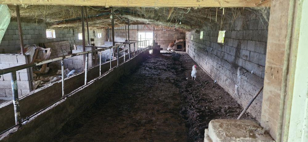 Фазенда аренда продажа