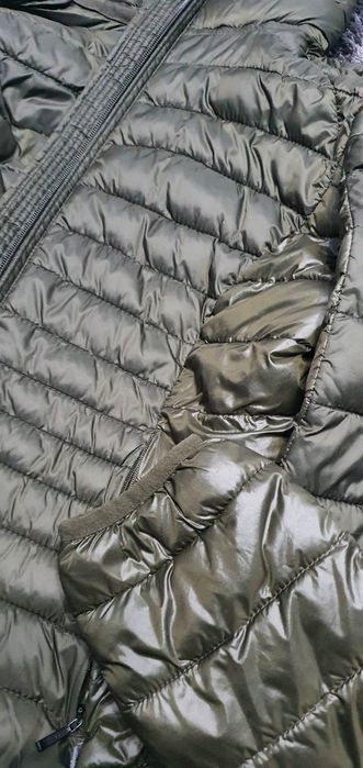 Geagă cu glugă, Napapijri