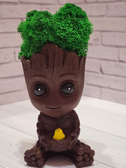 Кашпо грут + стабилизированный мох