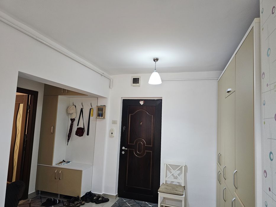 Apartament malul Mureșului Micălaca