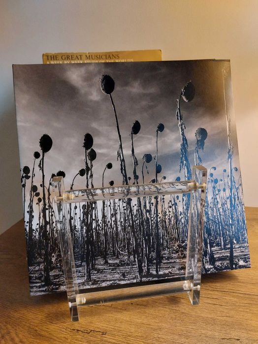 Vand viniluri muzica