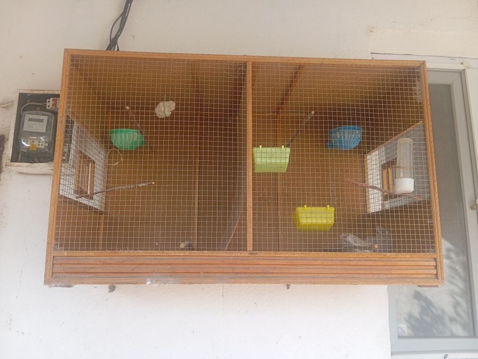 Вальер для разных птиц