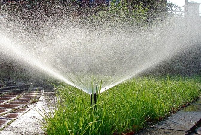 Газон уругдан/Рулонные/Полиф система/Чим