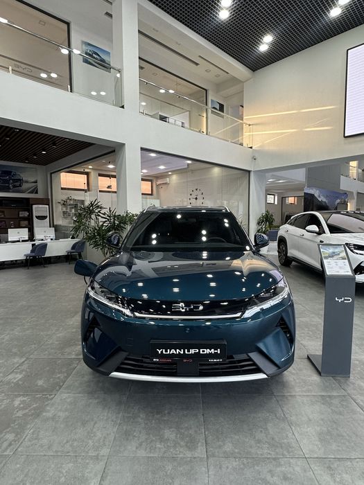 Byd yuan up dm 110 km