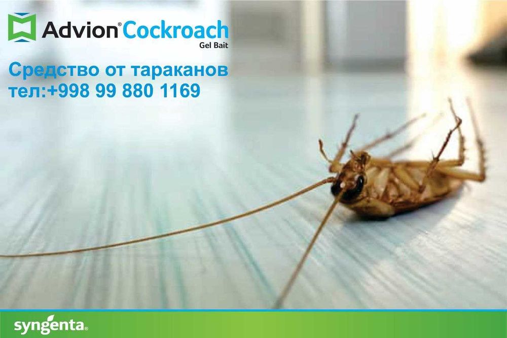 Американский шприц Адвион средство от тараканов Полный комплект