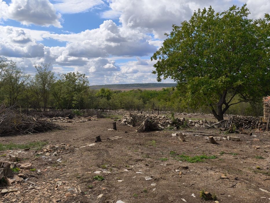 Продава се Парцел в с. Момчилово, Област Варна - 2440 кв.м за 9 €/кв.м - Снимка #9