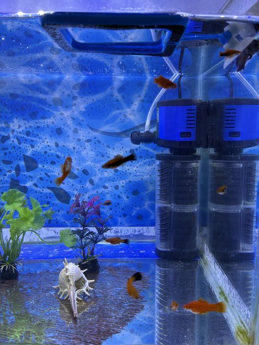 Продаются аквариумы