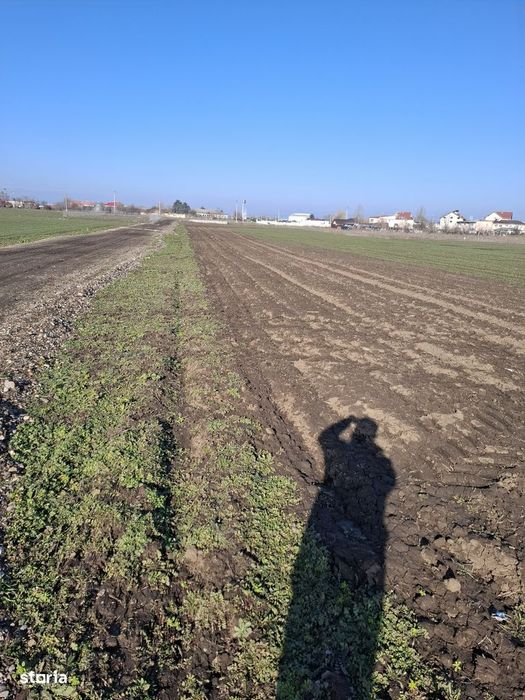 VVand loturi teren n soprafata de 500 mp teren  pret 15000 euro