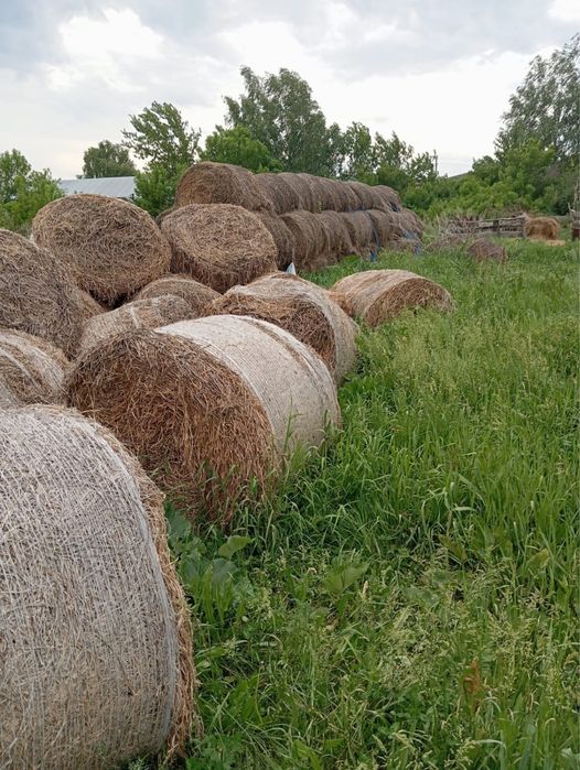 Продам сено хорошее