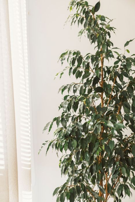 Дава се под наем Офис в София, Лагера - 40 кв.м за 61.2 € - Снимка #4