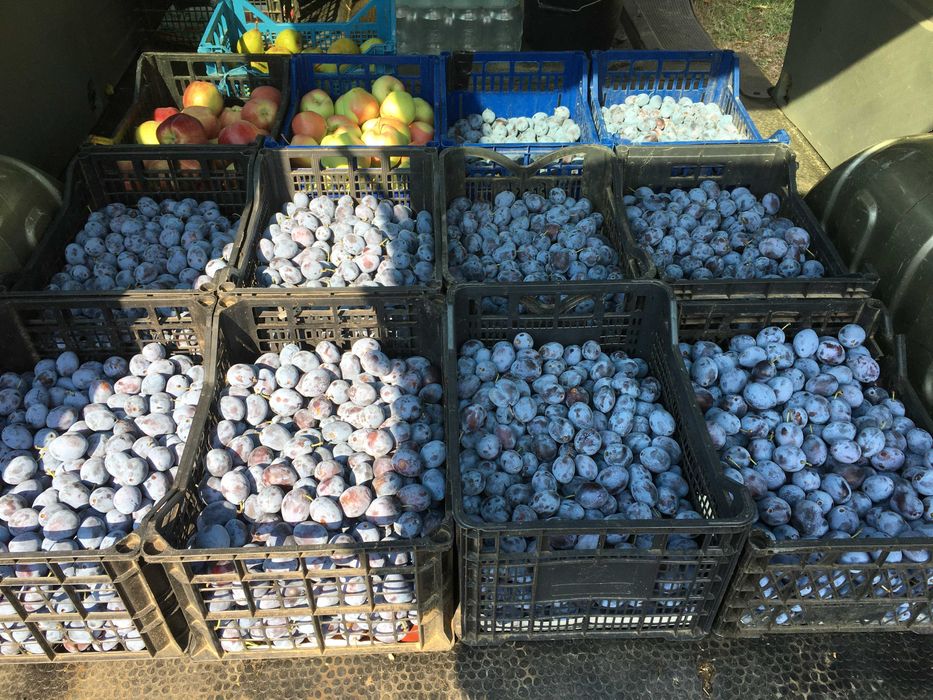 Magiun de prune, silvoita ardeleneasca autentica