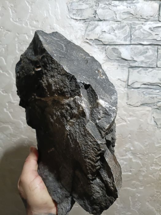 Аквариумные плитняки