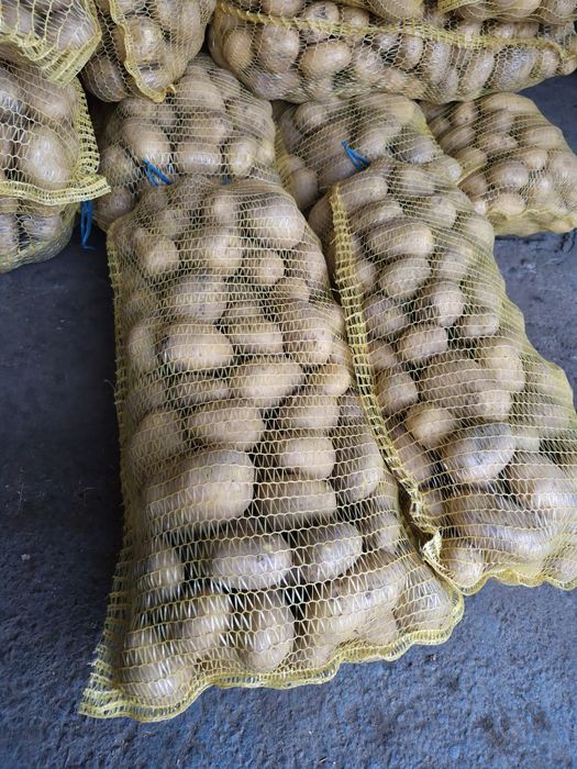 Продавам картофи сорт сорая