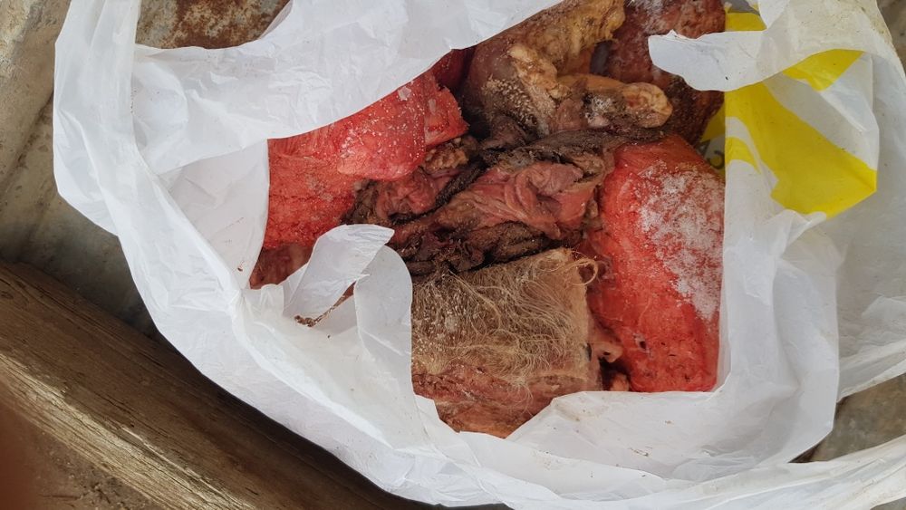 Корм для собак мясо,требуха