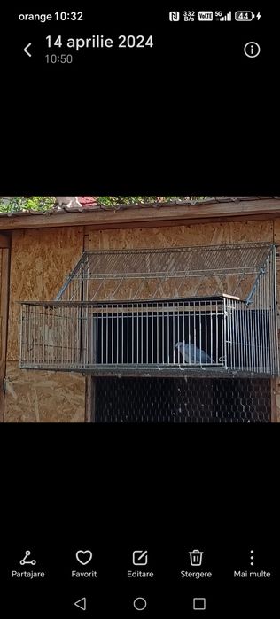 Sputnic de 1m de vanzare