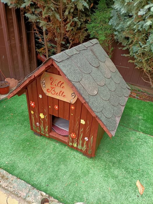 Vând cotet catel