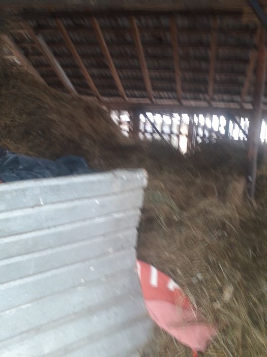 Fân ținut în saivan