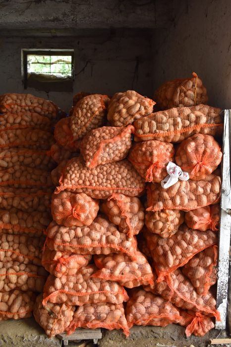 Cartofi pentru animale