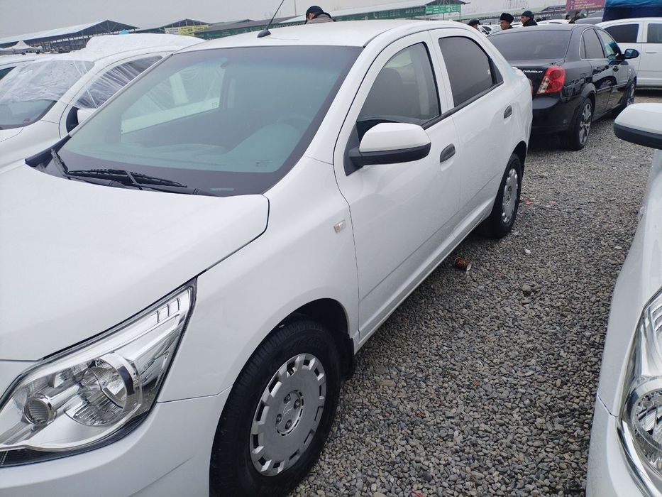 Cobalt 2018 1 pozitsya