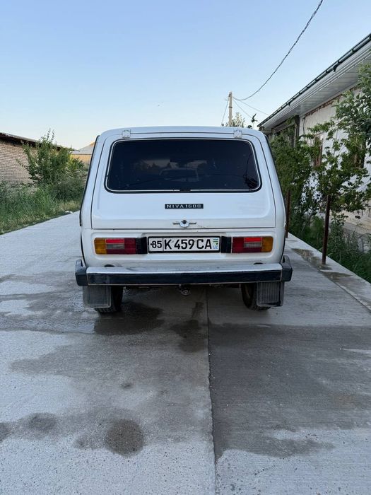 Niva sotiladi 1981