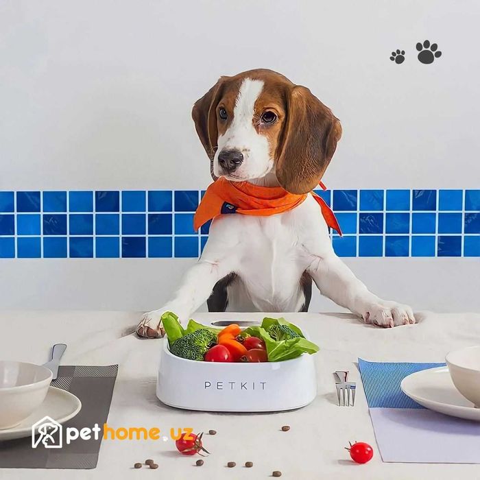 Миска-весы PETKIT Smart Weighing Bowl