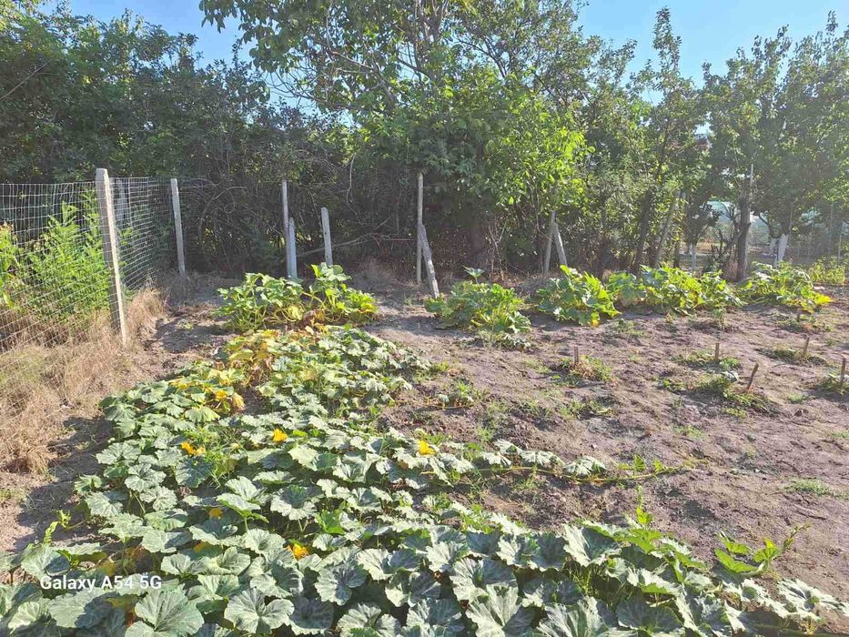 Продава се Къща в Варна, Виница - 70 кв.м за 183 €/кв.м - Снимка #4