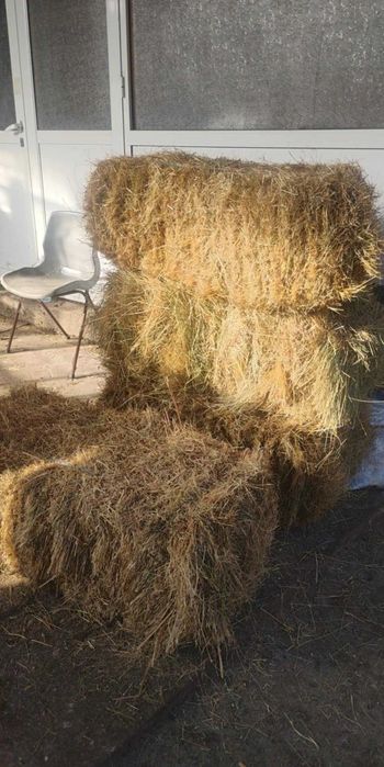 Продавам бали сено