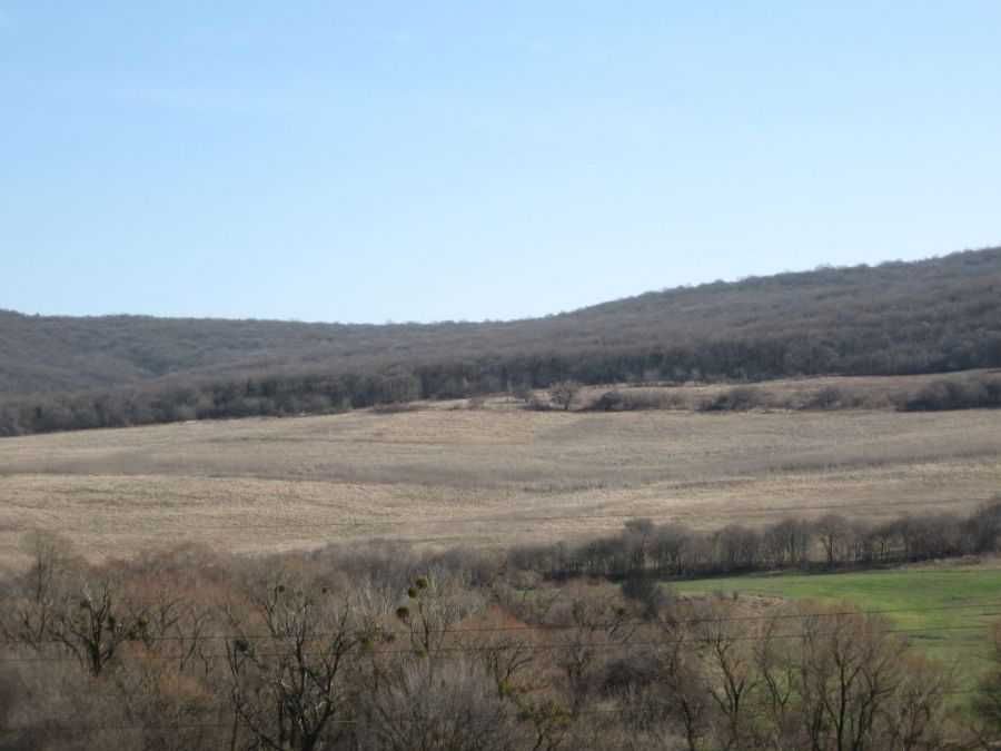 Продава се Земеделски имот в с. Осеново, Област Варна -  кв.м за 6375 €/дка - Снимка #5