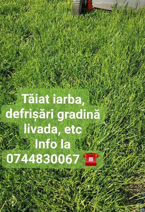 Intreținere spatii verzi livezi, gradini, semanat gazon, defrisari