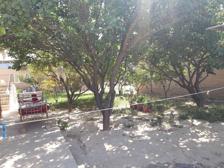 Parkent tumanida uy-joy sotiladi